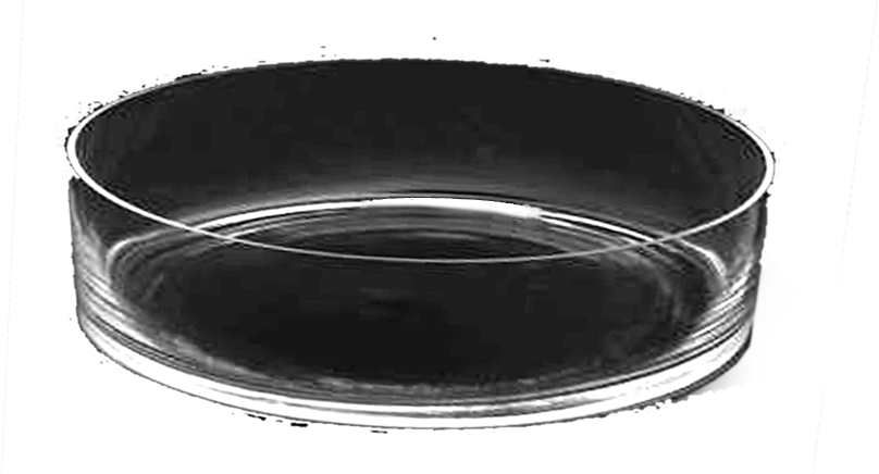 Acrylic Dish