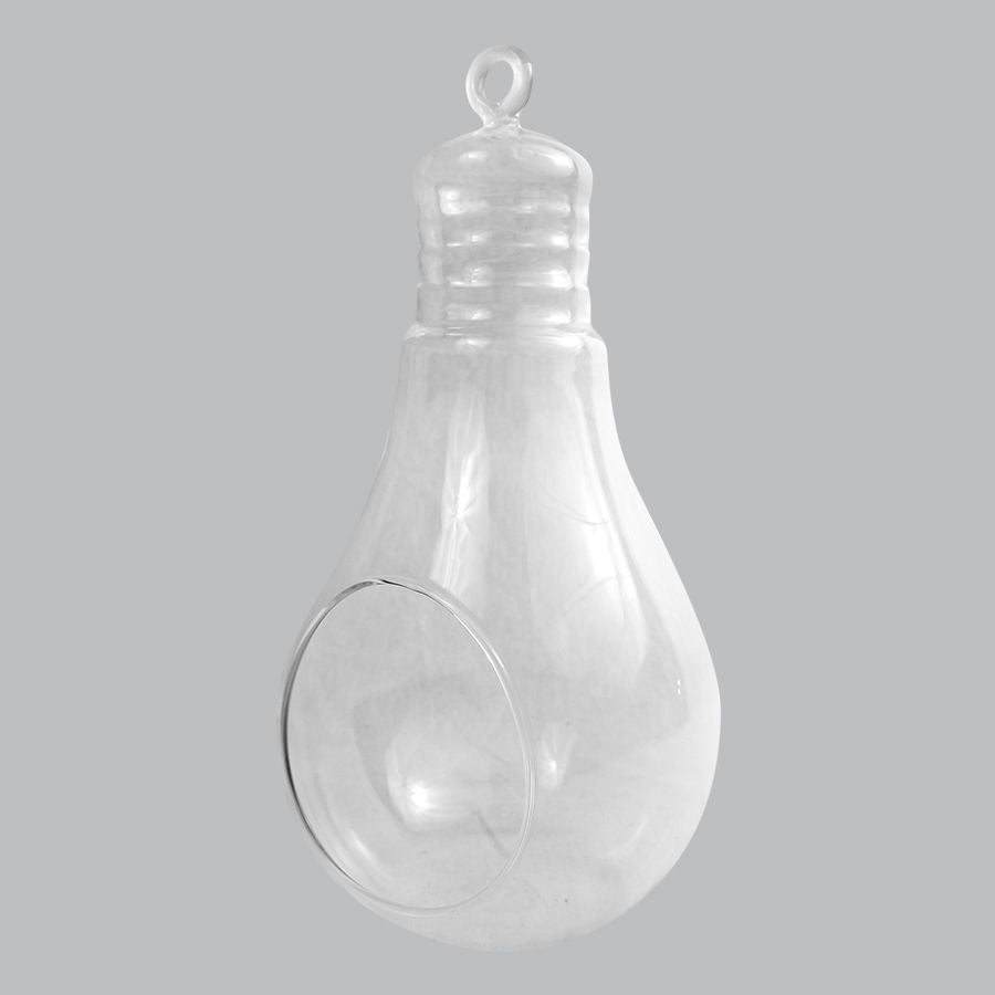 CH172 - 10" Air Plant Glass Terrarium Light Bulb Hanging Plant Holders