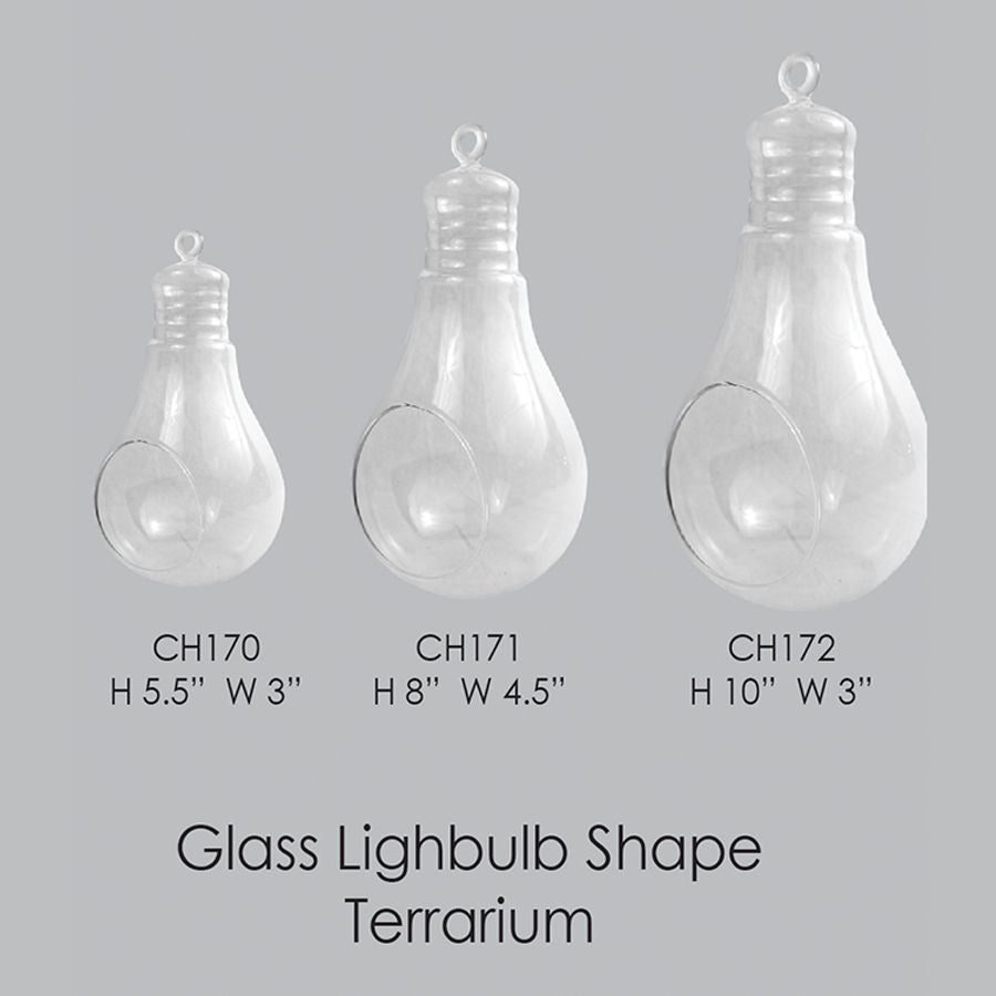 CH172 - 10" Air Plant Glass Terrarium Light Bulb Hanging Plant Holders