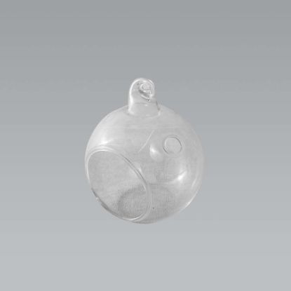Picture of CH060 - 2" Glass Terrarium Globe Hanging Plant Holders