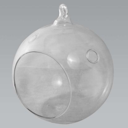Picture of CH064 - 8" Glass Terrarium Globe Hanging Plant Holders