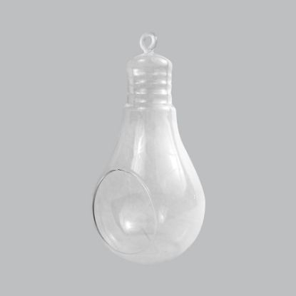 Picture of CH171 - 8" Air Plant Glass Terrarium Light Bulb Hanging Plant Holders
