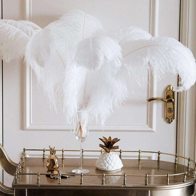 Ostrich Feathers