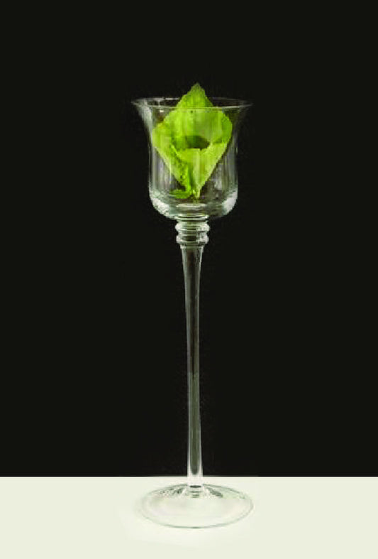 CH216 - 16" Premium Long Stem Glass Candle Holders