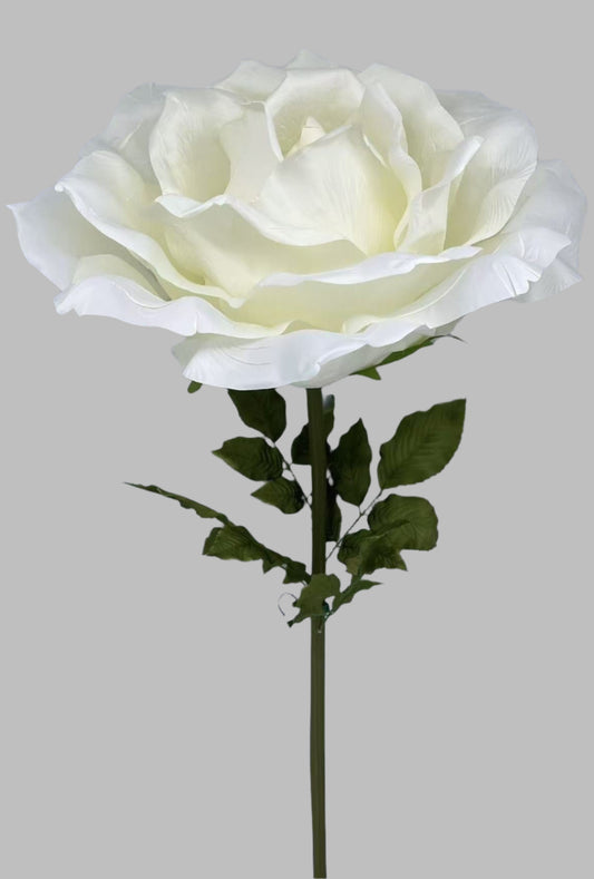 Giant White flower