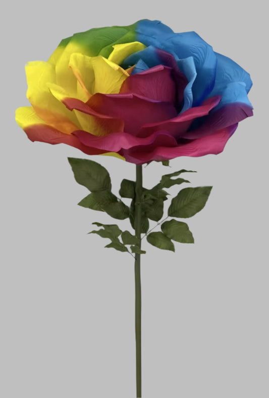 Giant Rainbow Rose