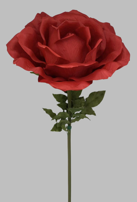 Giant Red Rose