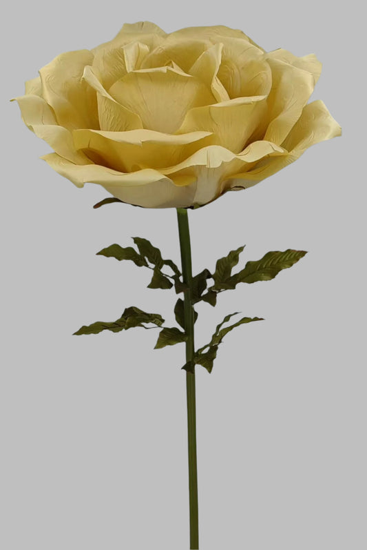 Giant Gold Rose