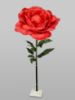 Picture of SF0506- 65" Oversized Large Silk Rose Bloom w/Removable Stem
