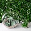 Picture of CH062 - 4" Glass Terrarium Globe Hanging Plant Holders