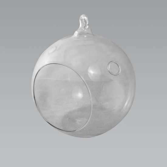 Picture of CH063 - 5" Glass Terrarium Globe Hanging Plant Holders