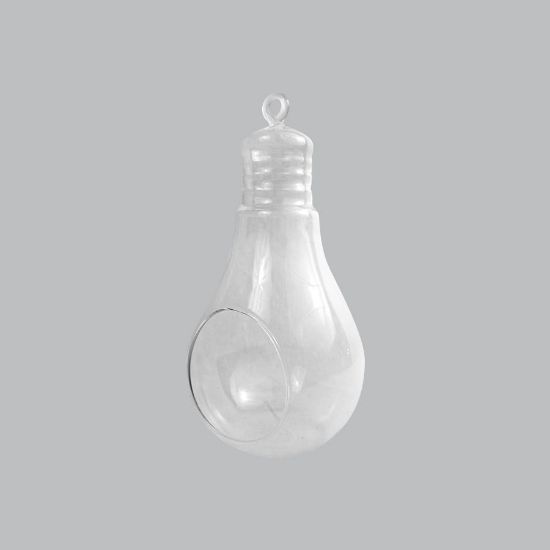 Picture of CH170 - 5.5" Air Plant Glass Terrarium Light Bulb Hanging Plant Holders