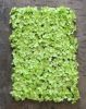 Picture of FL4060-2 - Green Silk Hydrangea Flower Wall Mat Panel 24"