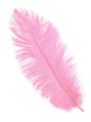 Picture of Light Pink Ostrich Feathers - 22" - 32"