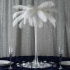 Picture of White Ostrich Feathers - 22" - 32"