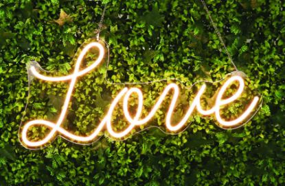 Picture of LED LOVE Neon Sign 27"