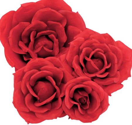 Picture for category Roses Decor