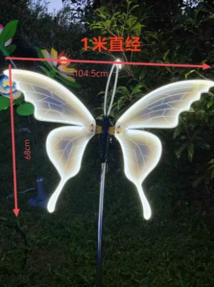 Picture of moving butterfly