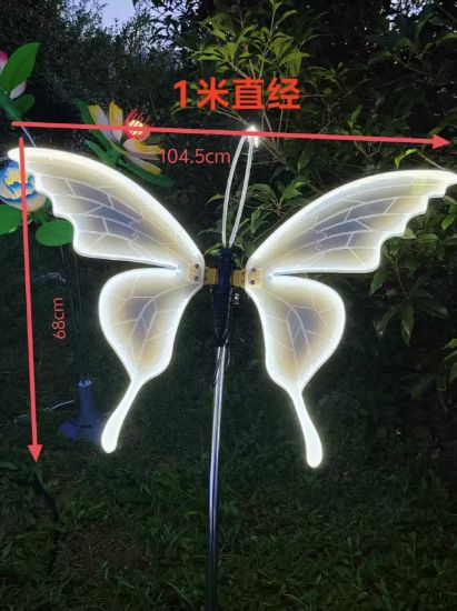 Picture of moving butterfly